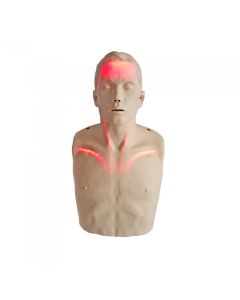 Brayden Pro Manikin With Red Illumination Lights