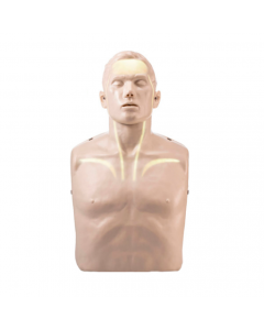 Brayden-CPR-Manikin-Illumination-LED-Lights